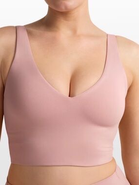 Nike Skims NikexSkims Matte V-Neck Longline Bra NWT